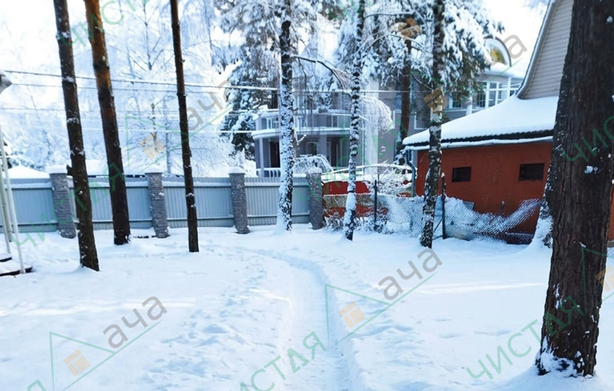 газон