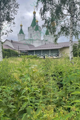Заросший и не выровненный участок